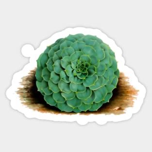 green flower Sticker